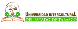 Comunicación Intercultural