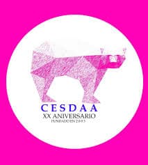 Centro de Estudios Superiores de Diseño, Arquitectura y Administración