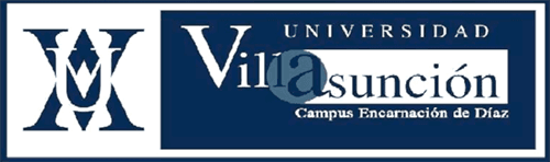 Logo de Universidad Villasunción