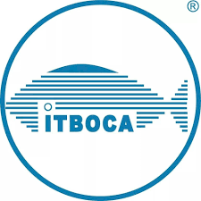 Logo de Instituto Tecnológico de Boca del Río