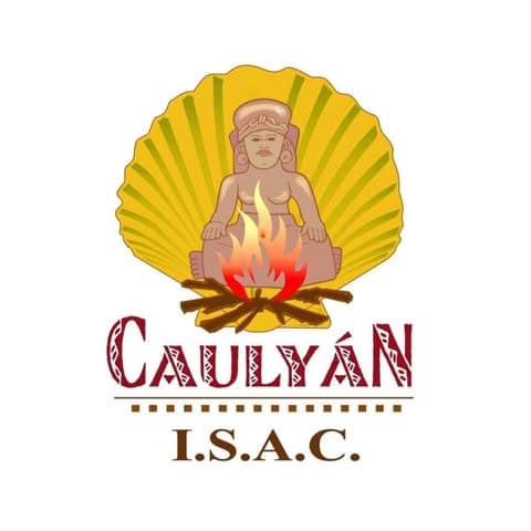 Logo de Instituto Superior de Arte y Cultura Cualyán