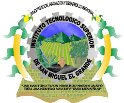Ingeniería en Tecnologías de la Información y Comunicaciones