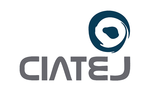 Logo de Centro de Investigación y Asistencia en Tecnología y Diseño