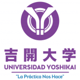 Logo de Universidad Práctica Yoshikai