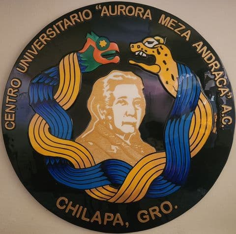 Logo de Centro Universitario Aurora Meza Andraca