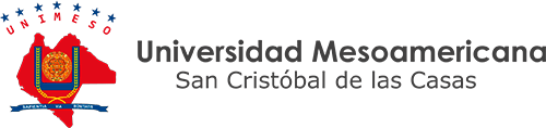 Logo de Universidad Mesoamericana (UNIMESO)